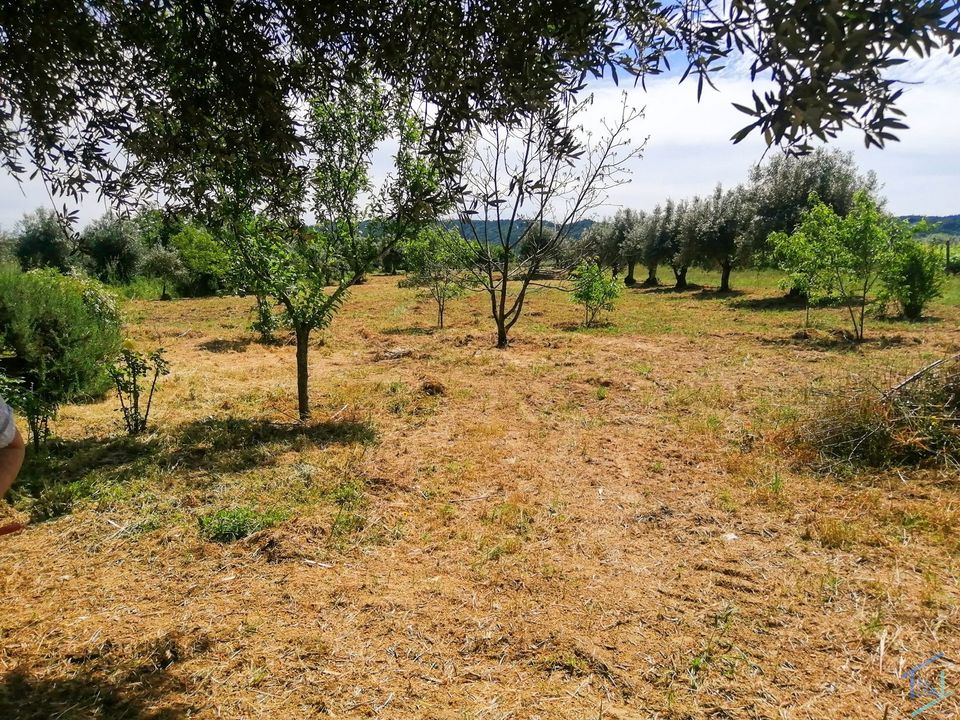 Helårsgrund i Tomar, Santarem - foto 5