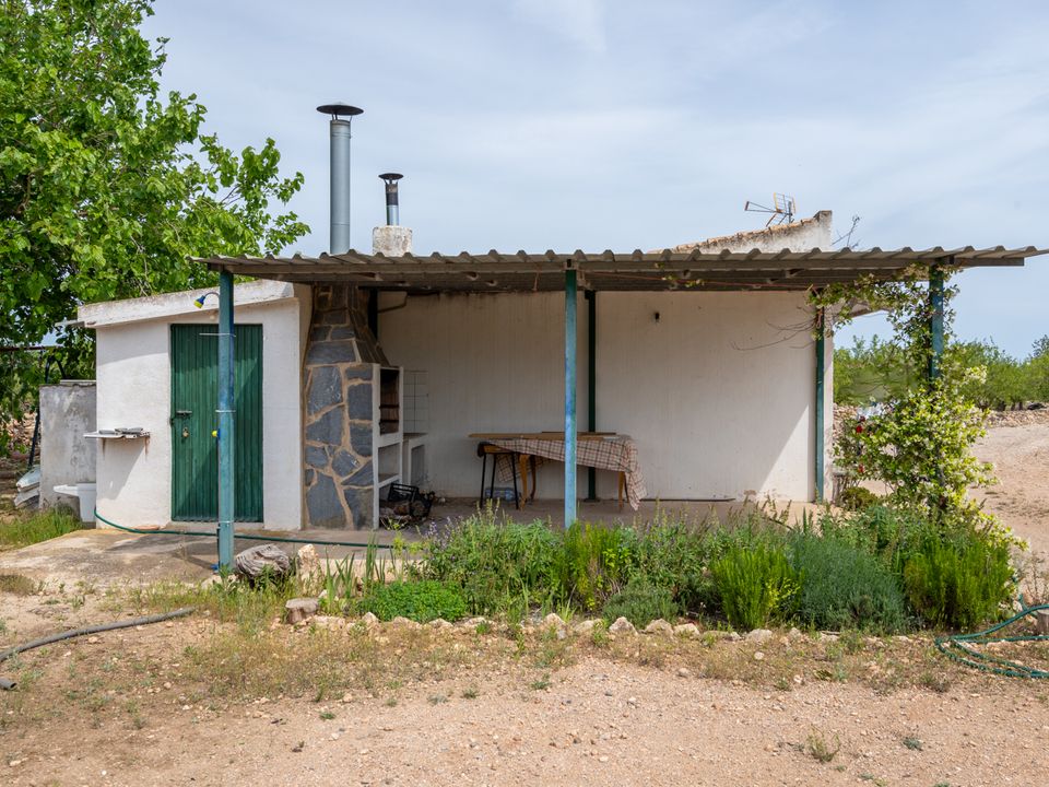 Finca i Tortosa, Tarragona - foto 3