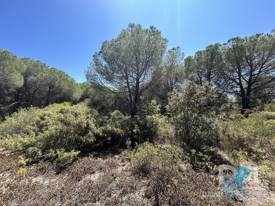 Helårsgrund i Montblanc, Herault - foto 2