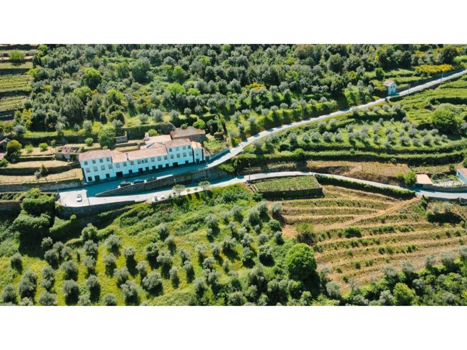 Herregård i Peso da Regua, Vila Real - bilde 3