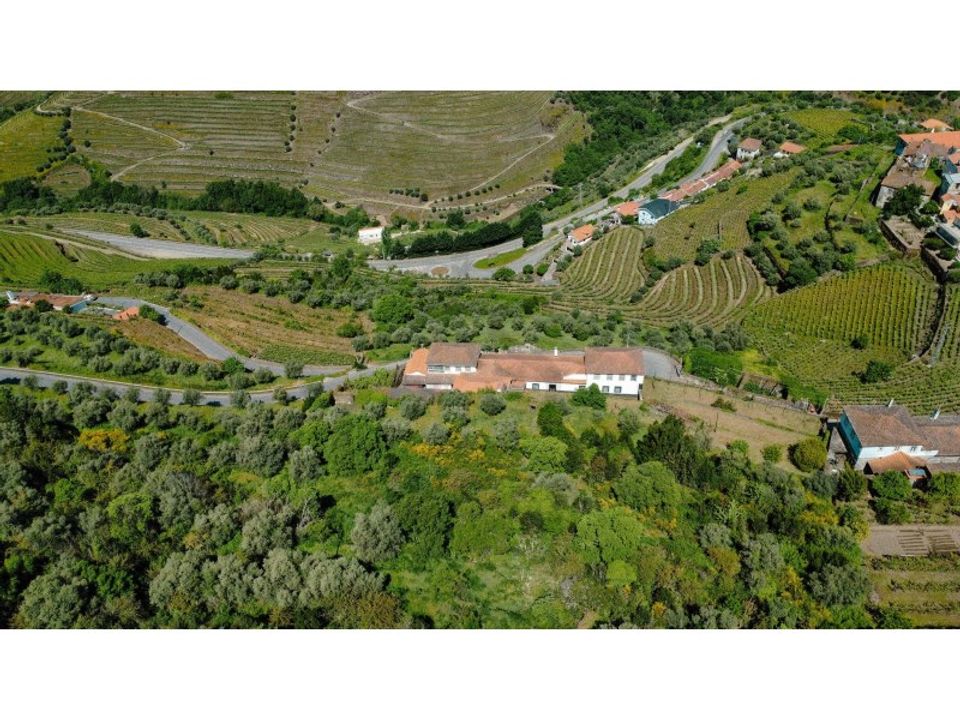 Herregård i Peso da Regua, Vila Real - bilde 4