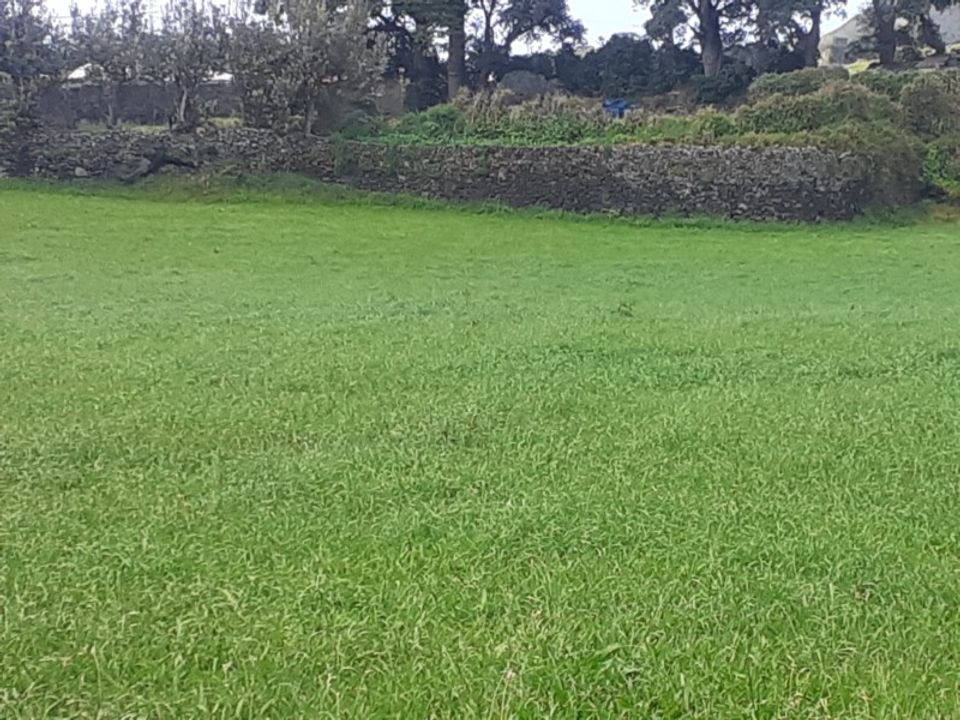 Helårsgrund i Sao Roque, Madeira - foto 4