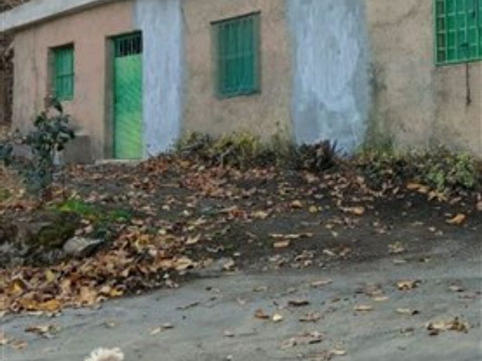 Cortijo i Guejar Sierra, Granada - foto 1