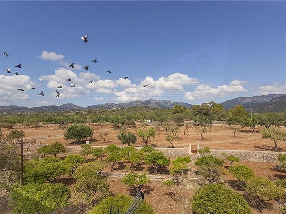 Villa i Bunyola, Mallorca - foto 3