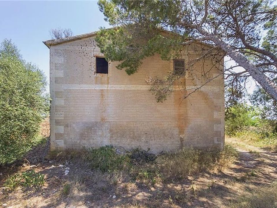 Landejendom i Manacor, Mallorca - foto 3