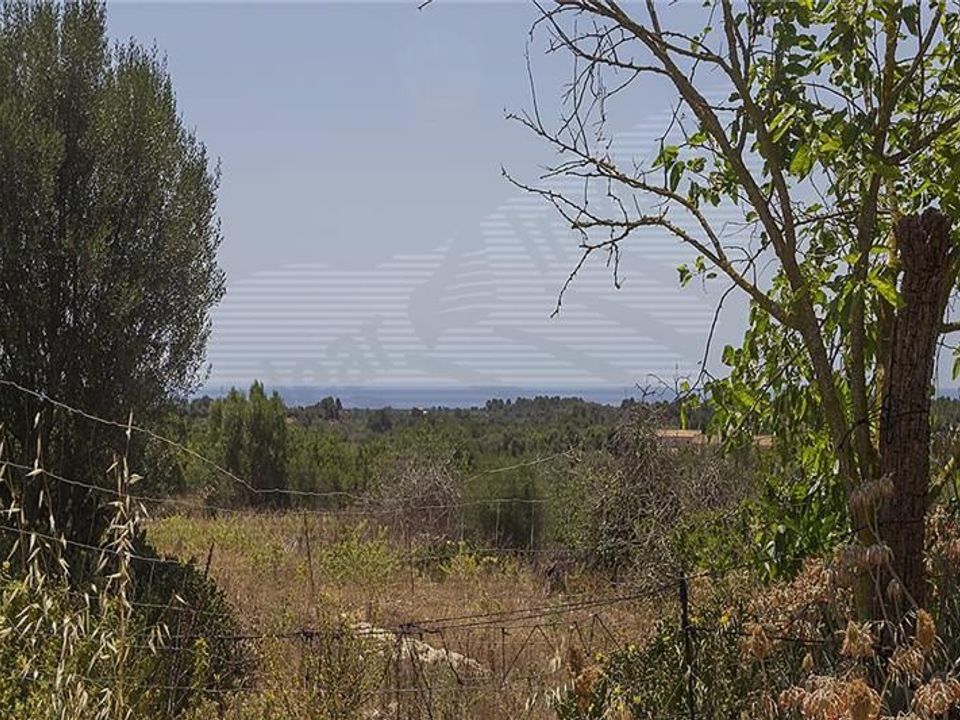 Landejendom i Manacor, Mallorca - foto 5