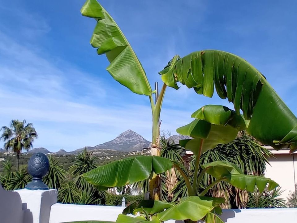Villa i La Nucia, Alicante - foto 5