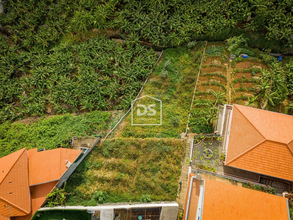 Helårsgrund i Funchal, Madeira - foto 2