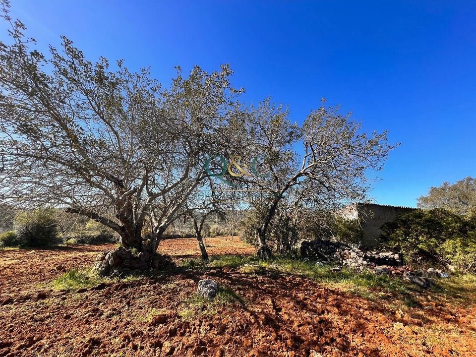 Ruinere i Sao Bras de Alportel, Faro - foto 2