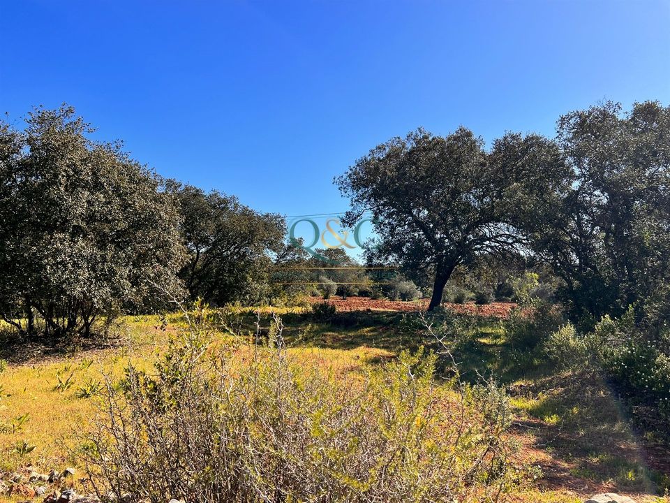 Helårsgrund i Sao Bras de Alportel, Faro - foto 4
