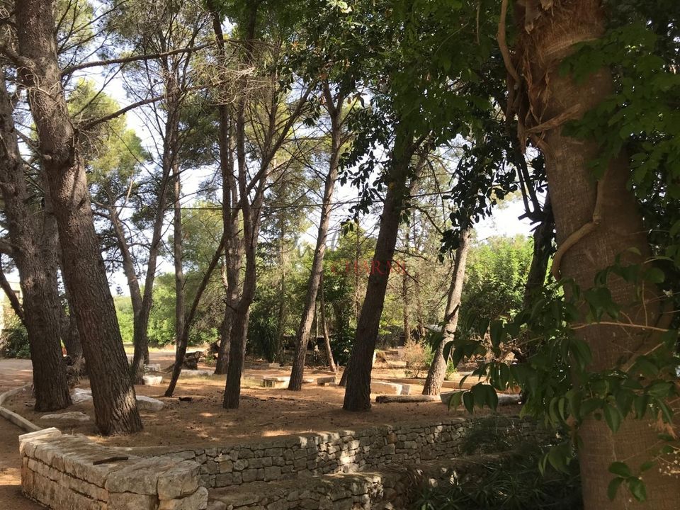 Landejendom i Ostuni, Brindisi - foto 4