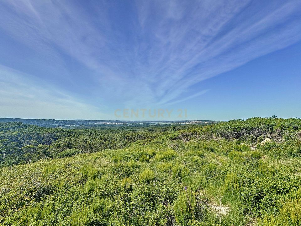 Helårsgrund i Nazare, Leiria - foto 1