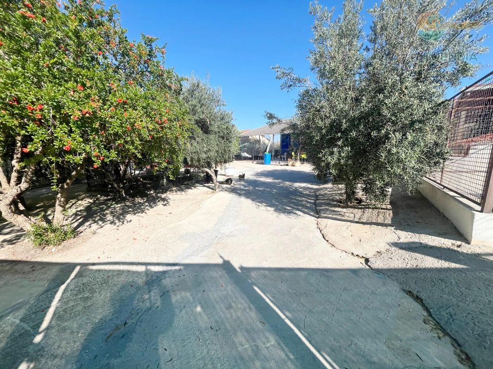 Landejendom i Lorca, Murcia - foto 3