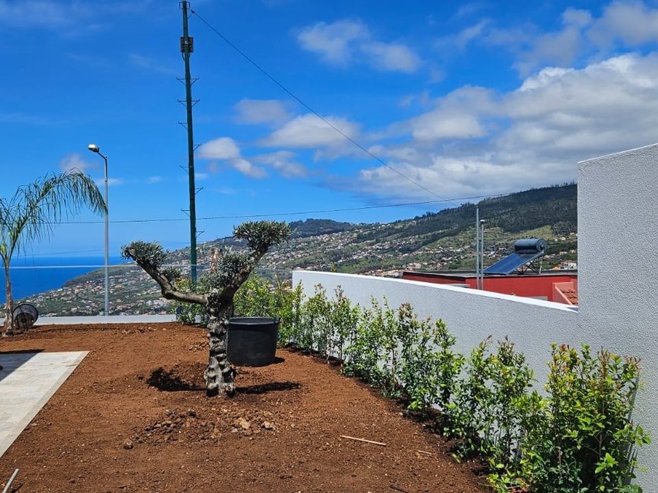 Villa i Calheta, Madeira - foto 3