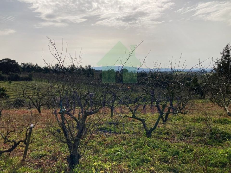 Helårsgrund i Bombarral, Leiria - foto 1