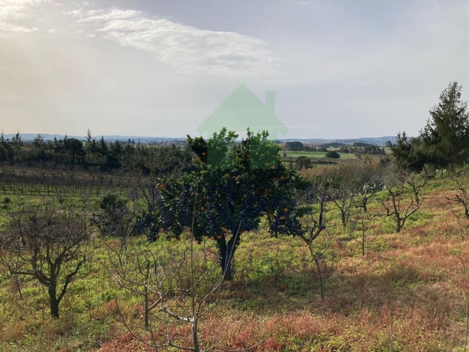 Helårsgrund i Bombarral, Leiria - foto 5