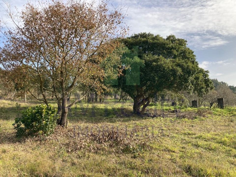 Helårsgrund i Bombarral, Leiria - foto 2
