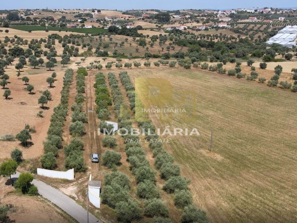 Grond in Sao Vicente do Paul, Santarem - foto 3
