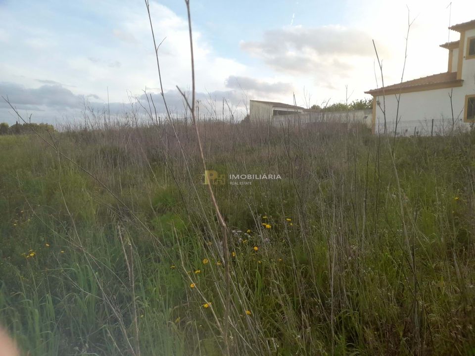 Helårsgrund i Sao Vicente do Paul, Santarem - foto 3