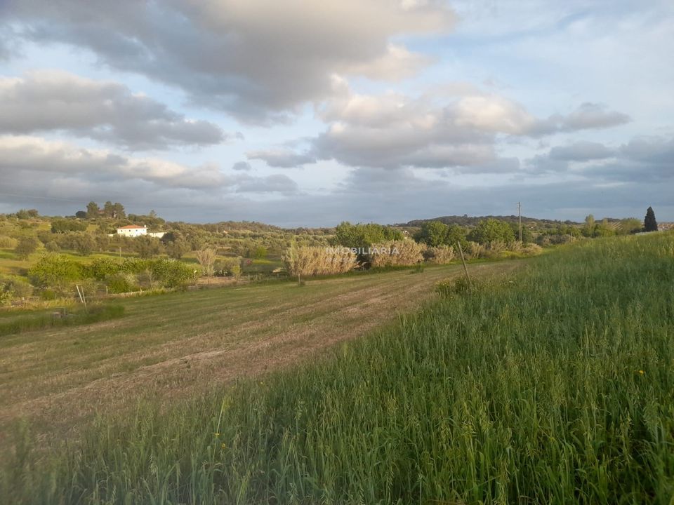 Helårsgrund i Sao Vicente do Paul, Santarem - foto 3