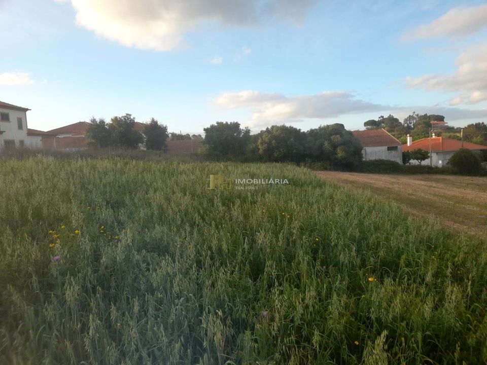 Helårsgrund i Sao Vicente do Paul, Santarem - foto 4