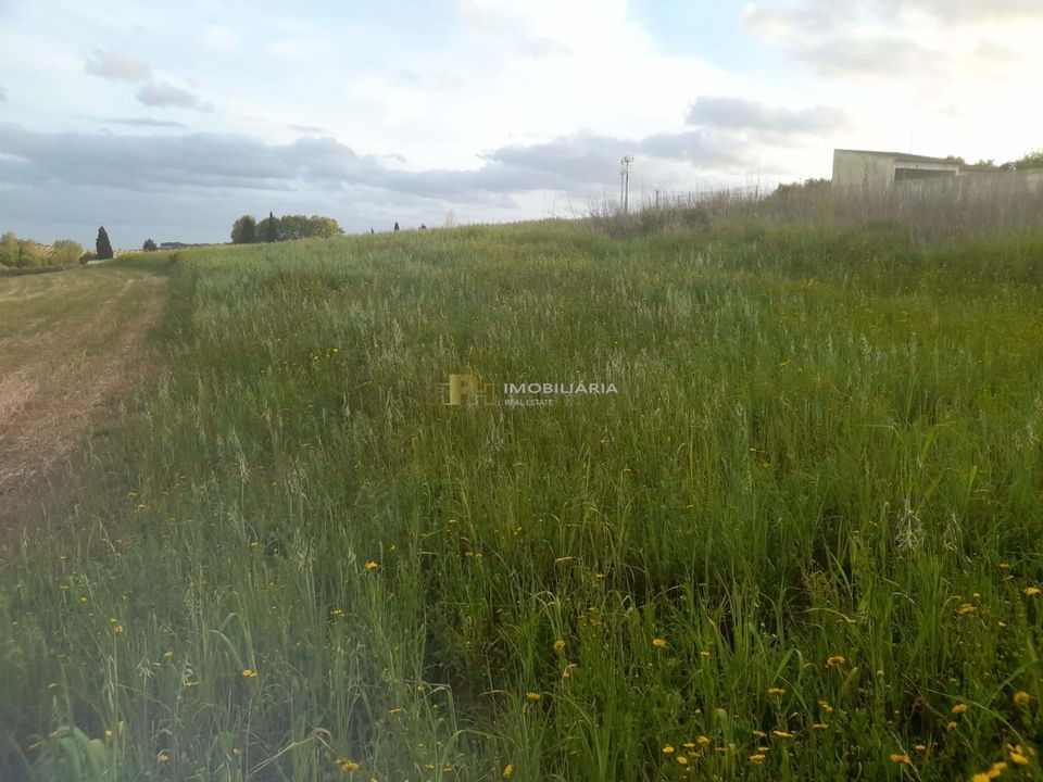 Helårsgrund i Sao Vicente do Paul, Santarem - foto 5
