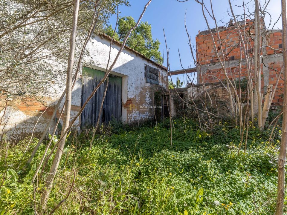 Erhvervsejendom i Chamusca, Santarem - foto 5