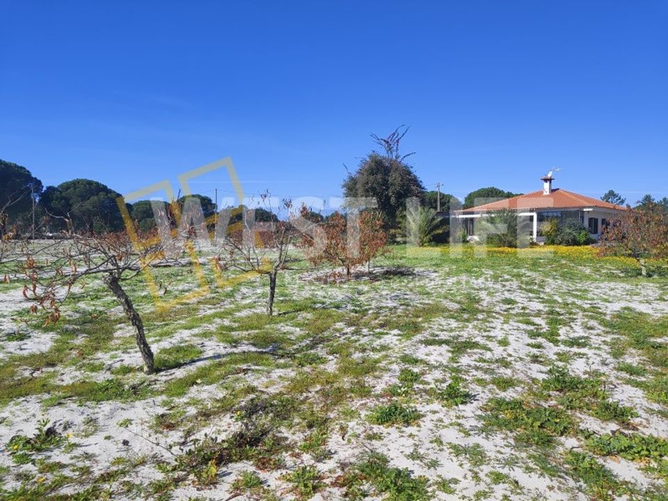 Landejendom i Torrao, Setubal - foto 3