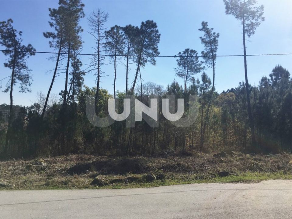 Helårsgrund i Ribafeita, Viseu - foto 1