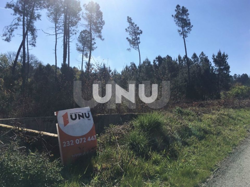 Helårsgrund i Ribafeita, Viseu - foto 2