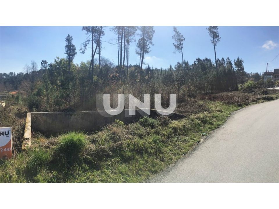 Helårsgrund i Ribafeita, Viseu - foto 3