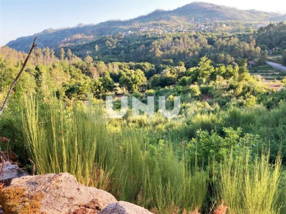 Helårsgrund i Vouzela, Viseu - foto 1