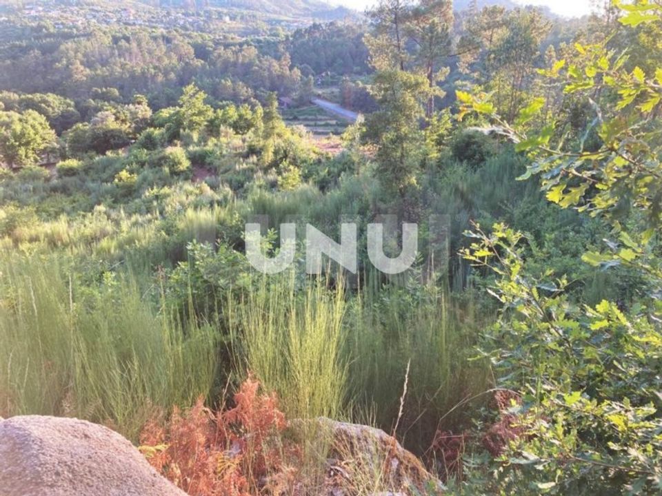 Helårsgrund i Vouzela, Viseu - foto 2