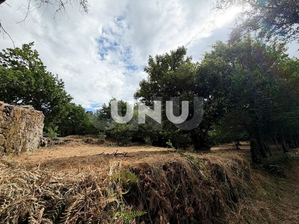 Helårsgrund i Vouzela, Viseu - foto 5