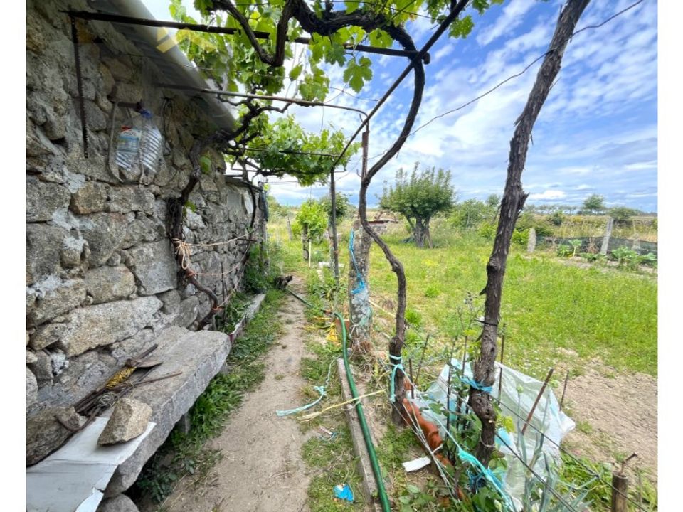 Granja a Alcains, Castelo Branco - foto 1