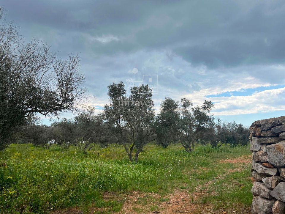 Villa i San Lorenzo De Balafia, Ibiza - foto 2