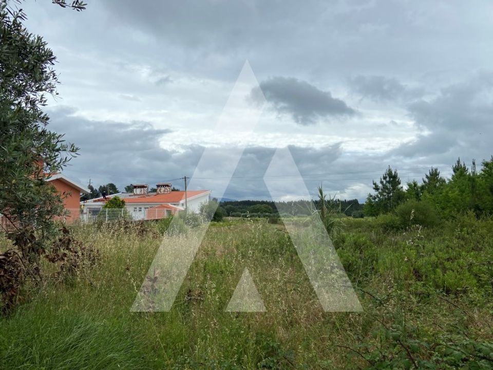 Helårsgrund i Anadia, Aveiro - foto 1