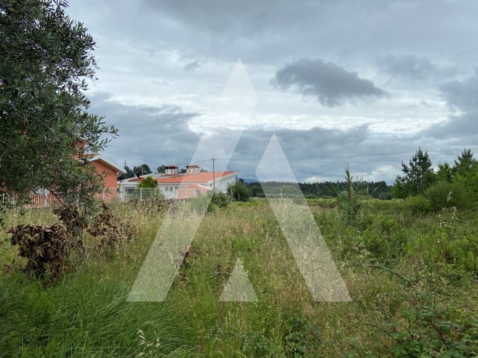 Helårsgrund i Anadia, Aveiro - foto 3