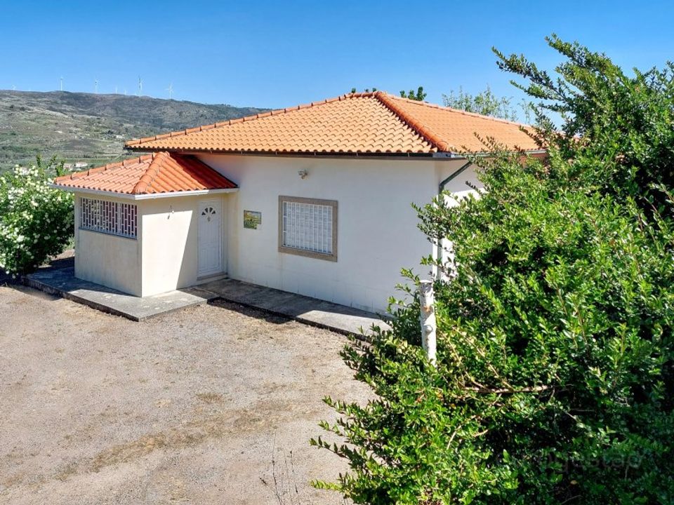 Tomt i Vila Nova de Souto d'El-Rei, Viseu - bilde 1