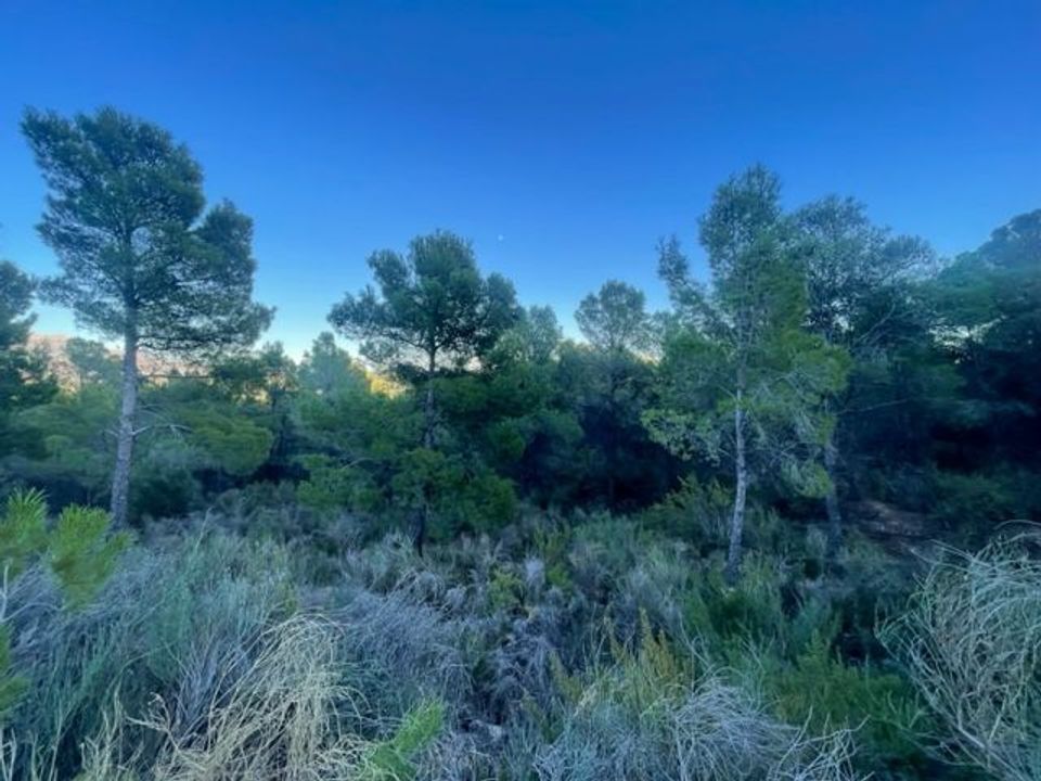 Helårsgrund i Polop, Alicante - foto 2
