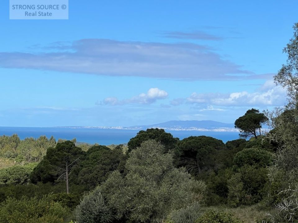Farm i Sesimbra, Setubal - foto 5