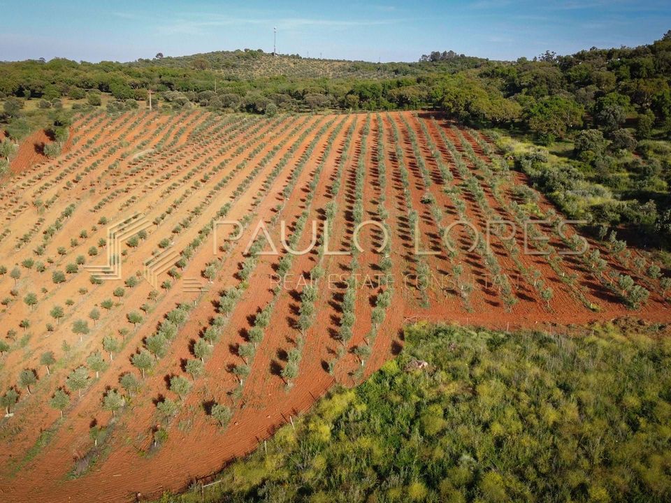 Farm hus i Estremoz, Evora - foto 5
