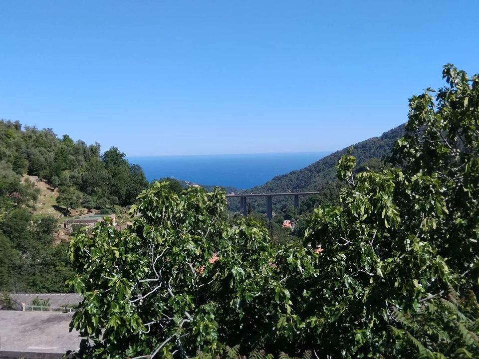 Villa i Gorbio, Alpes-Maritimes - foto 1