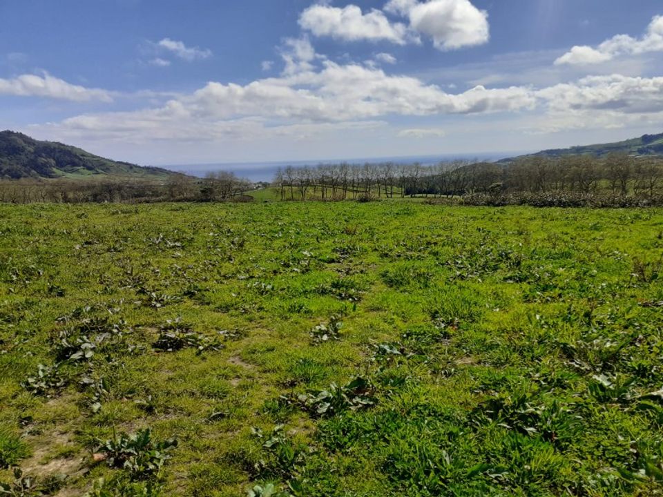 Helårsgrund i Povoacao, Sao Miguel - foto 5