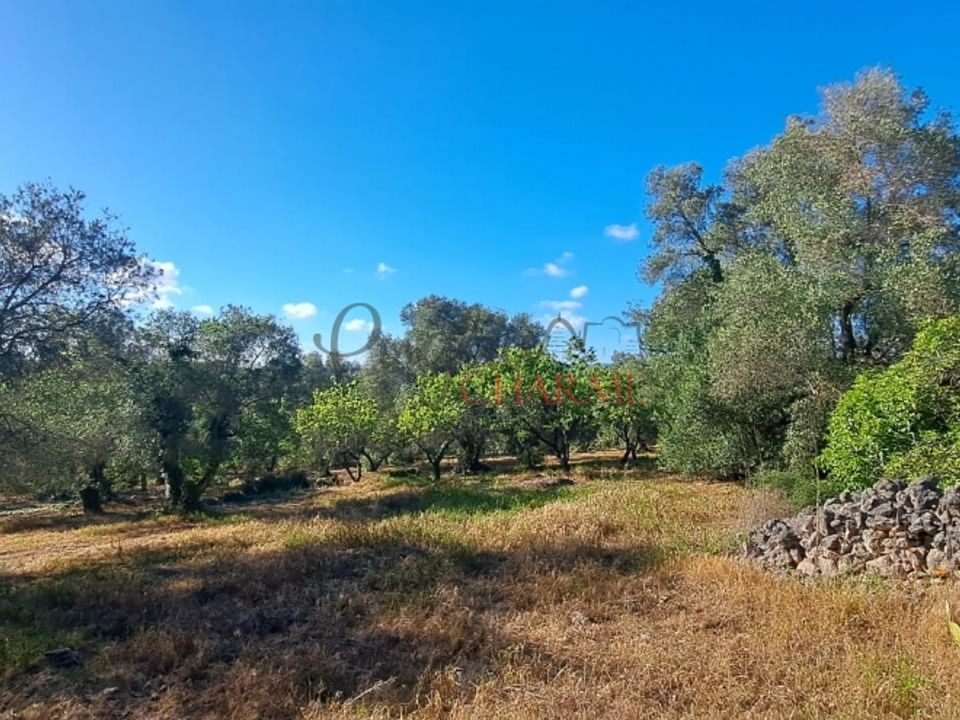 Landejendom i Ceglie Messapica, Brindisi - foto 5
