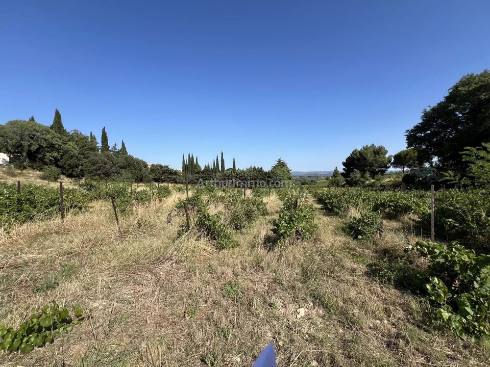 Helårsgrund i Saint-Guiraud, Herault - foto 2