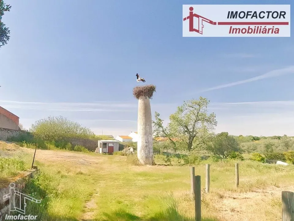 Farm hus i Castelo Branco, Castelo Branco - foto 2