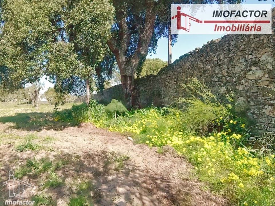Farm hus i Castelo Branco, Castelo Branco - foto 4