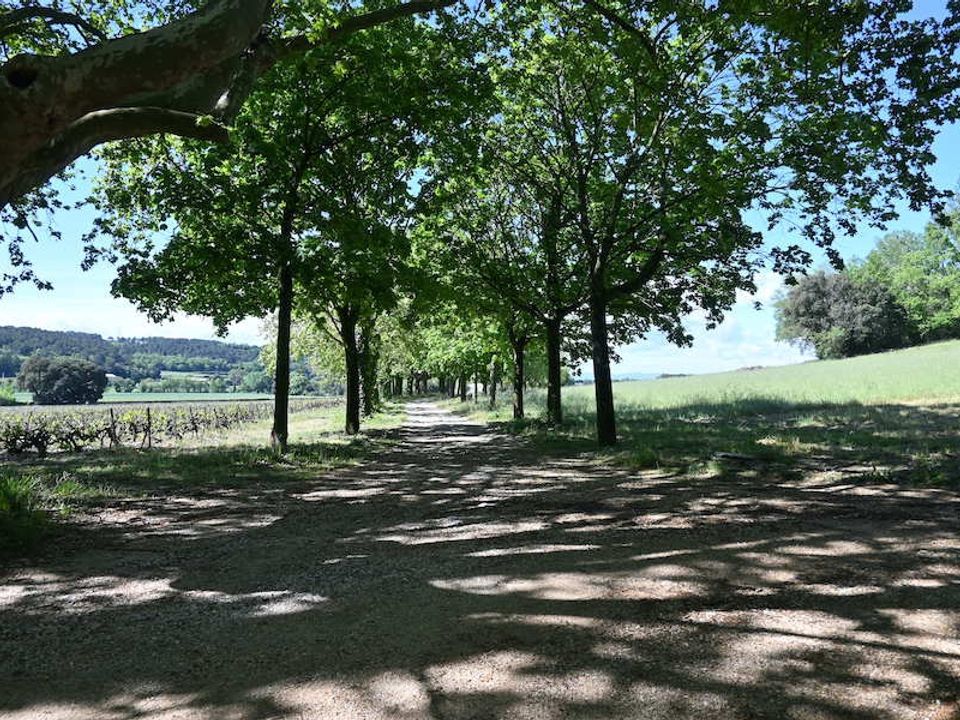 Villa i Bollène, Vaucluse - foto 2