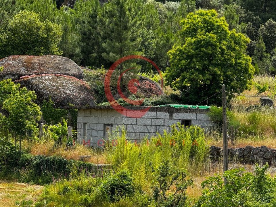 Gård i Santo Estevao, Faro - bilde 1